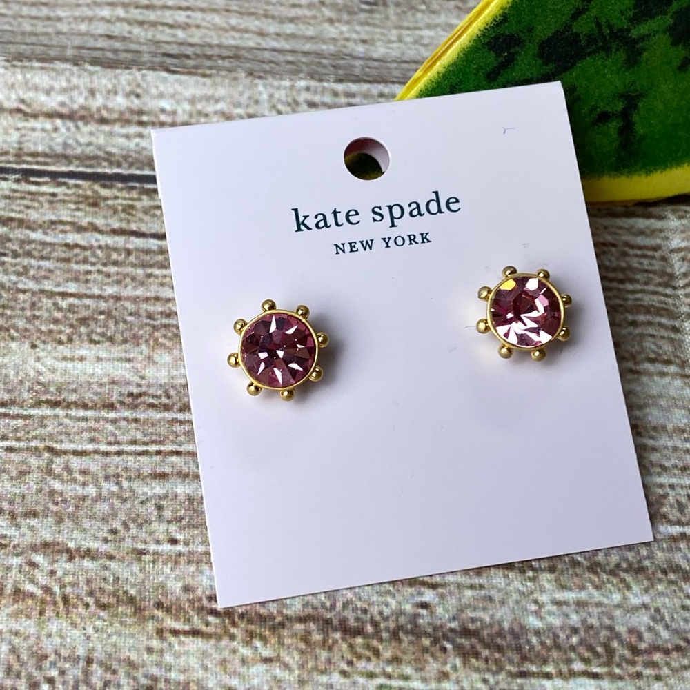 NWT kate spade Flying Colors Bezel Set Blush Pink Earrings